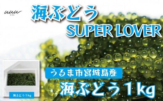 海ぶどうSuperLover　大容量1kgパック【2026年4月より順次発送】