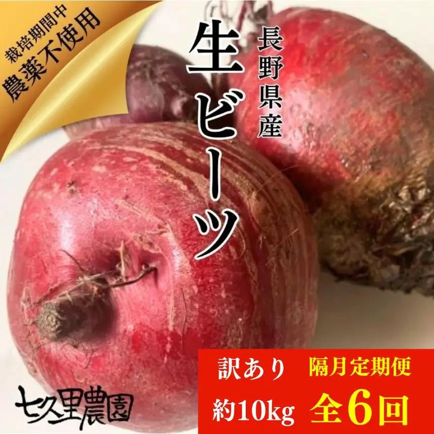 訳あり ビーツ 約10kg【 隔月 6回 定期便 】｜長野県 飯田市