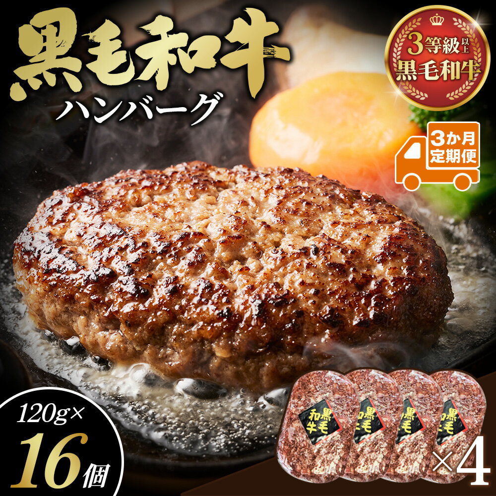 【ふるさと納税】【3か月定期便】黒毛和牛ハンバーグ120g×16個セット ／ 4個入り 4パック 冷凍 小分け 和牛定期便 牛肉定期便 黒毛和牛ハンバーグ 夕食 夕飯 晩ご飯 時短 簡単 調理 お弁当 BBQ キャンプ飯 ニイチク No.635