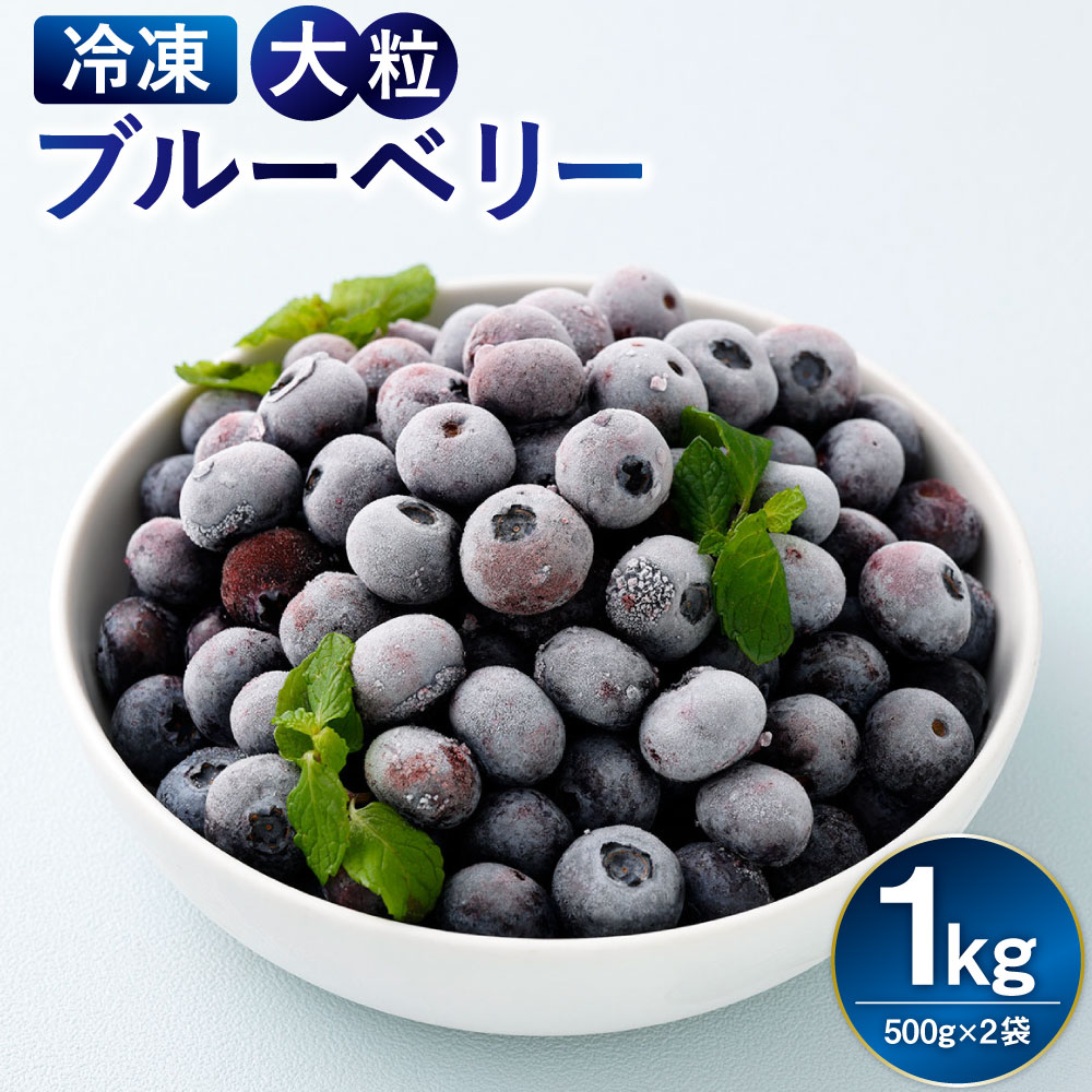 【ふるさと納税】冷凍ブルーベリー大粒 計1kg（500g×2） ブルーベリー フルーツ くだもの 果物 果実 デザート 冷凍 熊本県産 国産 九州 熊本県 送料無料 【2026年8月上旬発送開始】