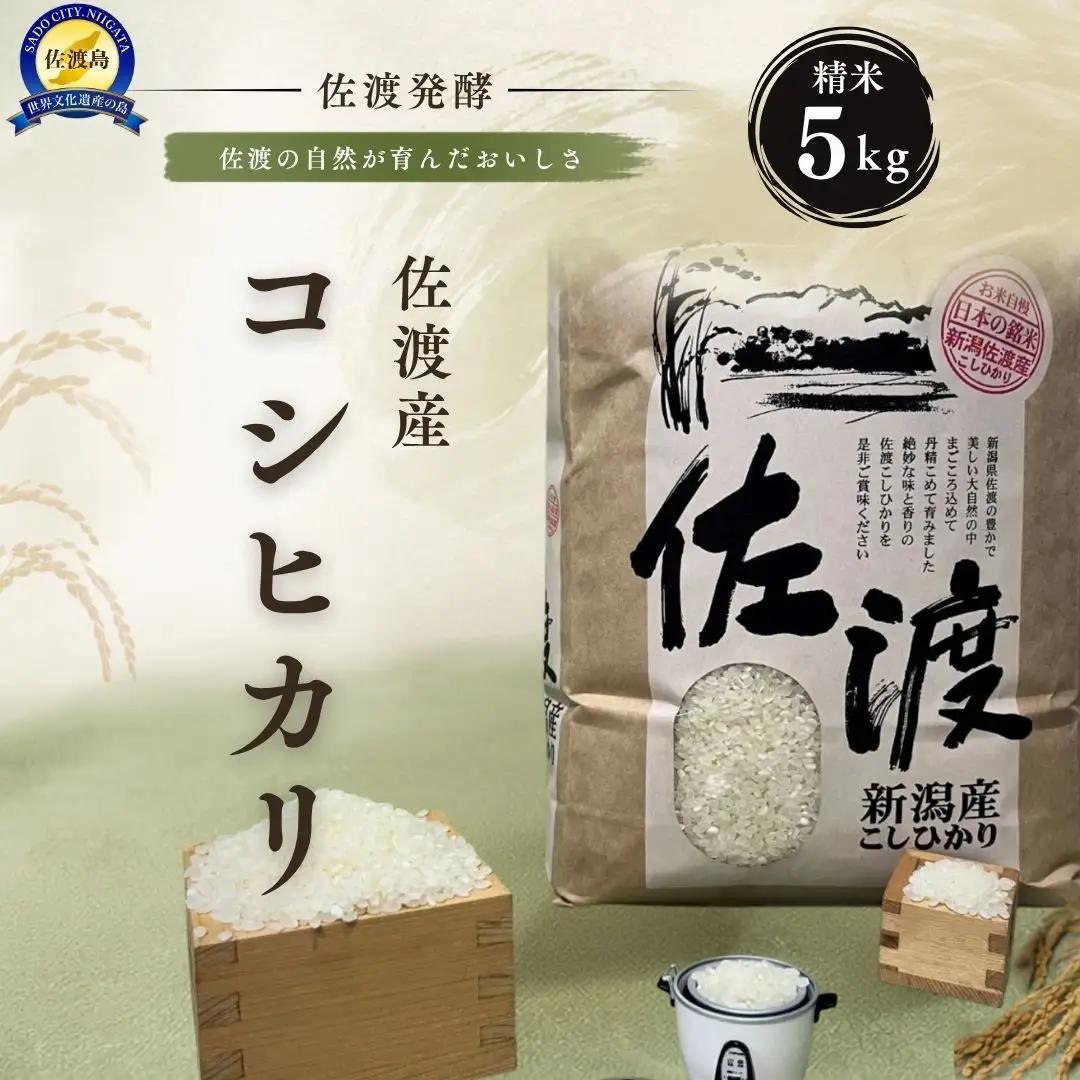 コシヒカリ 精米 5kg 令和7年 | 新潟県 佐渡市 コシヒカリ