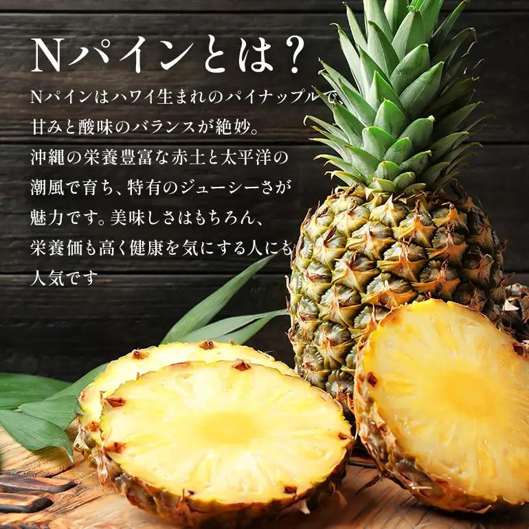Nパイン2玉　自然の恵み詰まったパイナップル 172-2