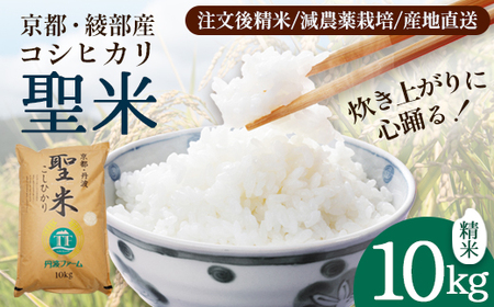 「聖米」 白米 10kg | 米 お米 こしひかり 白米 精米
