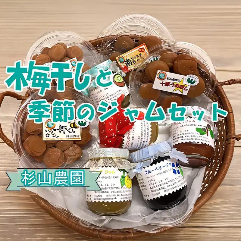 杉山農園 Ｂ 梅干しと季節のジャムセット【 梅干し 国産 塩だけ 酸っぱい ジャム 無添加 フルーツ 果物 詰め合わせ 食べ比べ 神奈川県 山北町 】
