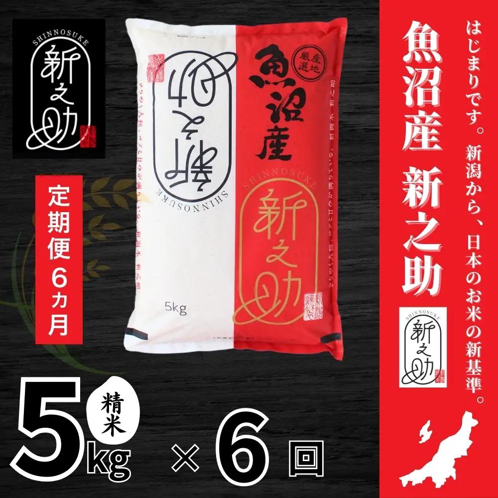 6ヶ月定期便 中魚沼産「新之助(しんのすけ)」5kg 有限会社イタバ |津南町 魚沼 令和7年