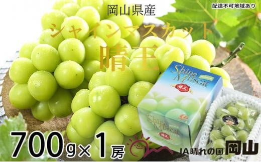 ぶどう 2026年   シャインマスカット 晴王 約700g×1房 ブドウ 葡萄  岡山県産 国産 フルーツ 果物 ギフト