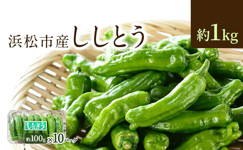 
                  浜松市産 ししとう 約100g×10パック 合計約1kg とうがらし 獅子唐 シシトウ 国産 野菜 静岡 浜松市 [№5360-0937]
                