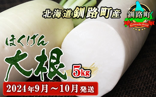 
野菜王国　釧路町産 【ほくげん大根】5kg ＜2024年9月～10月発送＞ 国産 産地直送 旬 季節の野菜 詰め合わせ セット ワンストップ オンライン申請 オンライン 申請
