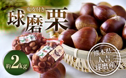 球磨栗（鬼皮付き） 2kg【2025年9月下旬～10月下旬発送予定】 栗 くり 和栗 果物 果実 フルーツ 厳選 熊本県 相良村 冷蔵