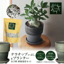 【ふるさと納税】三河焼 植木鉢 ダークシルバー 4号 テラチップいぶし プランター お手軽 植物栽培セット 陶器 三河 インテリア 三河陶器 観葉植物 癒やし 園芸 テラチップ いぶし お取り寄せ 丸俊セラミック 愛知県 碧南市 送料無料