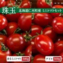 【ふるさと納税】北海道 仁木町 【珠玉】まる ミニトマト 500g & アイコ 500g 　【 野菜 生野菜 緑黄色野菜 サラダ 付け合わせ ほのかな酸味 旨味 糖度8度以上 旬の野菜 食材 国産 北海道産 】　お届け：2024年6月中旬～10月中旬