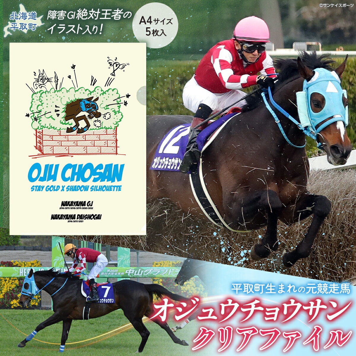 【ふるさと納税】【オジュウチョウサン】クリアファイル イラスト5枚入り【 ふるさと納税 人気 おすすめ ランキング 馬 競馬 競走馬 引退馬 オジュウチョウサン 北海道 平取町 送料無料】 BRTV017