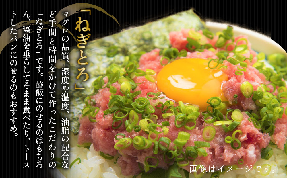 まぐろ漁師飯セット マグロ（ひゅうが丼）・ねぎとろセット ねぎとろ 鮪丼 まぐろ 大分県産 九州産 津久見市 熨斗対応【tsu000302】