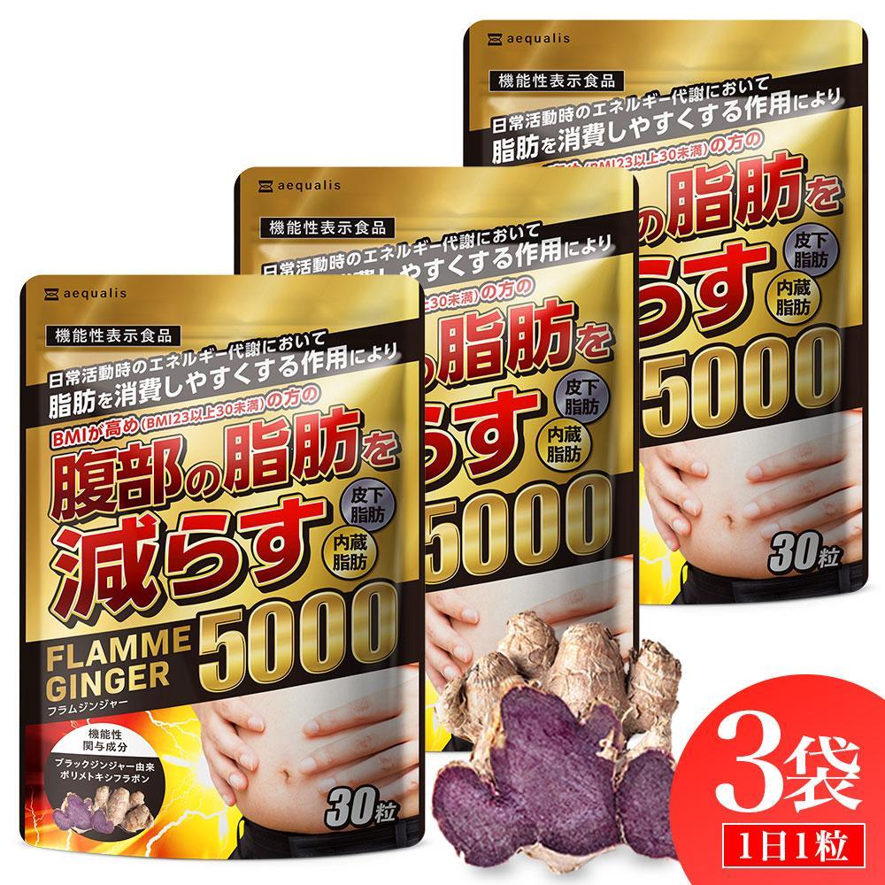 【ふるさと納税】ブラックジンジャー サプリメント フラムジンジャー 機能性表示食品 3袋セット