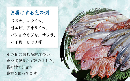 氷見産昆布締め 3種詰め合わせ 富山県 氷見市 刺身 昆布〆 肴
