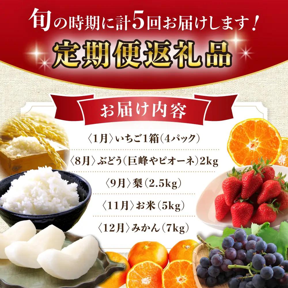 【5回】フルーツ定期便 米とフルーツ[ACAA082]