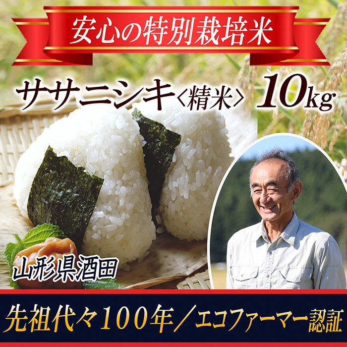 
【令和5年産米】特別栽培米 ササニシキ 精米10kg 山形県庄内 F2Y-3667
