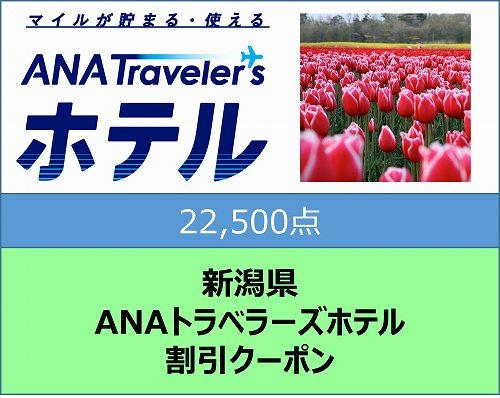 新潟県ANAトラベラーズホテル割引クーポン22,500点