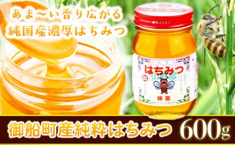 熊本県御船町産 純粋はちみつ600g 御船町観光協会 《30日以内に出荷予定(土日祝除く)》