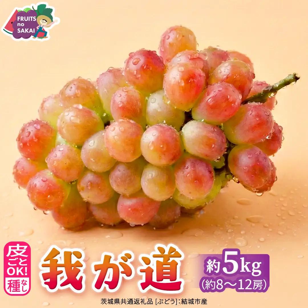 我が道 約5kg （約8～12房）【2026年8月より発送開始】（茨城県共通返礼品 [ぶどう]：結城市産）
