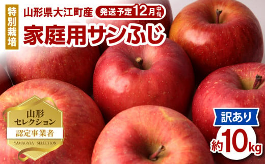 《先行予約》特別栽培 訳あり 家庭用サンふじ約10kg  【2024年12月中旬頃～発送予定】【山形りんご・大江町産・鈴木果樹園】【025-014】