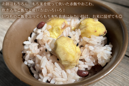 山﨑観光農園のもち米 5kg | 栃木県 益子町 ふるさと納税 お米 米 もち米 5kg 令和7年産 (AU008)