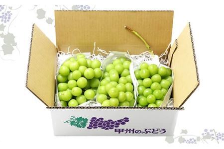 【2025年発送分 先行予約】シャインマスカット（1.6-1.8kg）　シャイン マスカット シャインマスカット ぶどう 葡萄 ブドウ 果物 くだもの フルーツ 大粒 産地直送 先行予約 先行受付 山