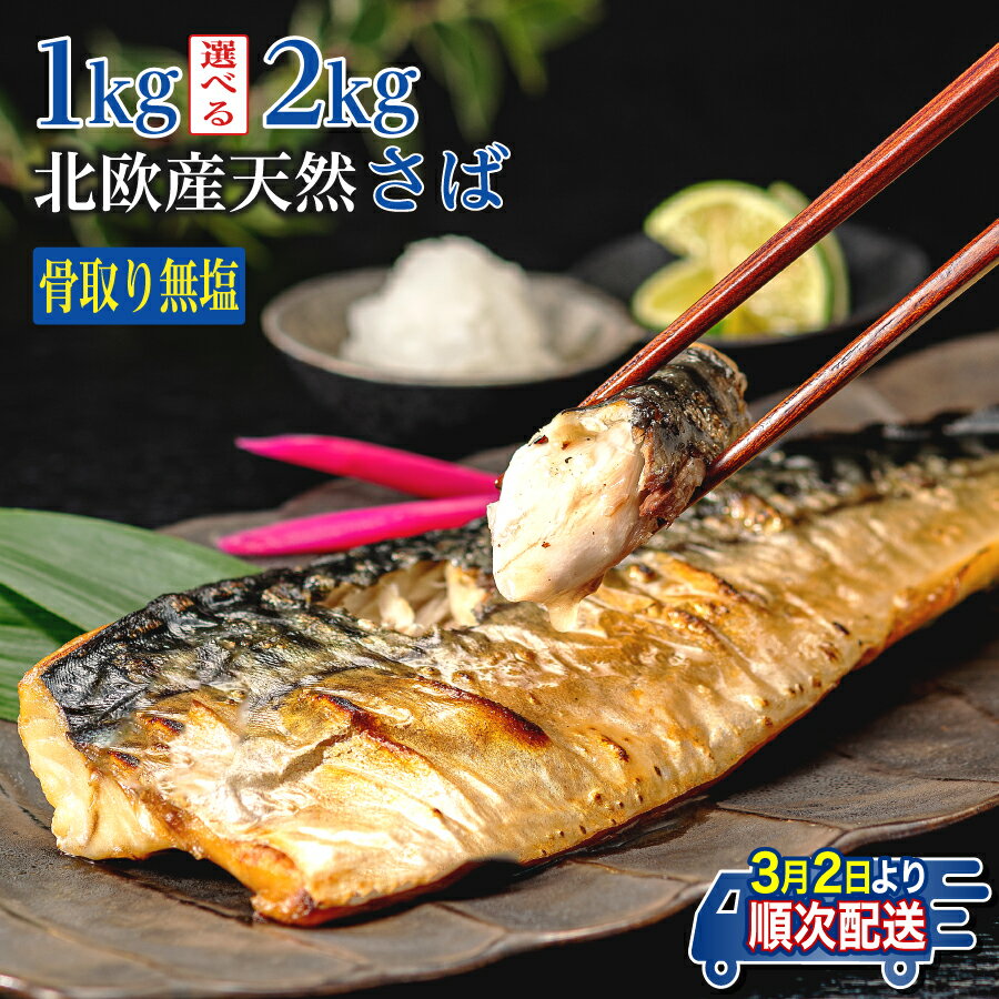 【ふるさと納税】 訳あり 骨取り 無塩さば 約1.0kg・約2.0kg 鯖 さば 無塩 骨なし 骨抜き 切身 切り身 冷凍 食品 小分け 大容量 人気 魚 魚介 魚貝 海鮮 惣菜 贈答 ギフト お取り寄せ 送料無料 不揃い 規格外 ふるさと納税 ふるさと納税鯖 千葉県 銚子市 飯田商店 iidachoshi