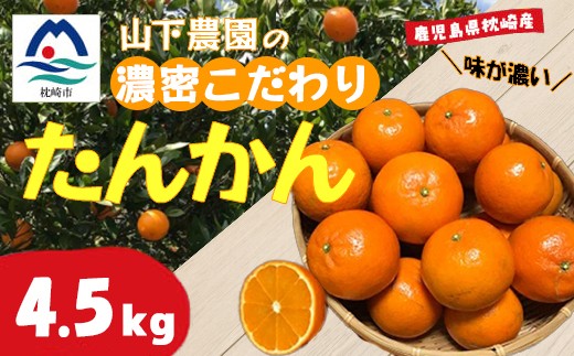 
                  ＜数量限定＞鹿児島県枕崎産 山下農園の濃密こだわりたんかん 4.5Kg　B2-3_ 柑橘 たんかん フルーツ 果物 旬の果物 ビタミン 送料無料 鹿児島県 枕崎市 【1167036】
                