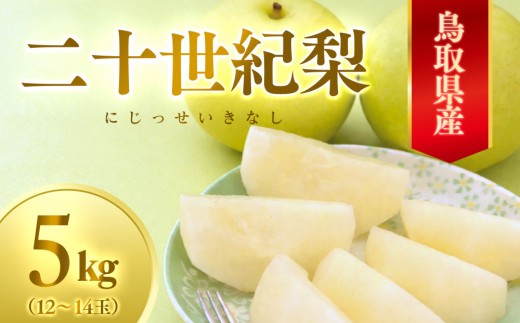 数量限定 鳥取県産梨 二十世紀梨 5kg（12～14玉）｜鳥取 梨 なし 二十世紀梨 期間限定 送料無料 鳥取県 三朝町　20世紀梨   フルーツ 果物　くだもの　贈答品 ギフト なし ナシ 和梨　期間限定　季節限定　国産　直送　旬　秋　国産　ヘルシー　ビタミン豊富　鳥取県産梨