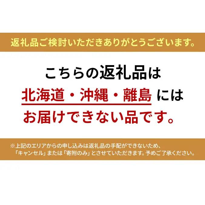 ぶどう 2026年 先行予約 定期便 シャインマスカット 晴王 1房 約600g 9月・10月 2回発送 岡山県産 種無し 皮ごと食べる みずみずしい 甘い 瀬戸内 晴れの国 おかやま 果物大国 満天