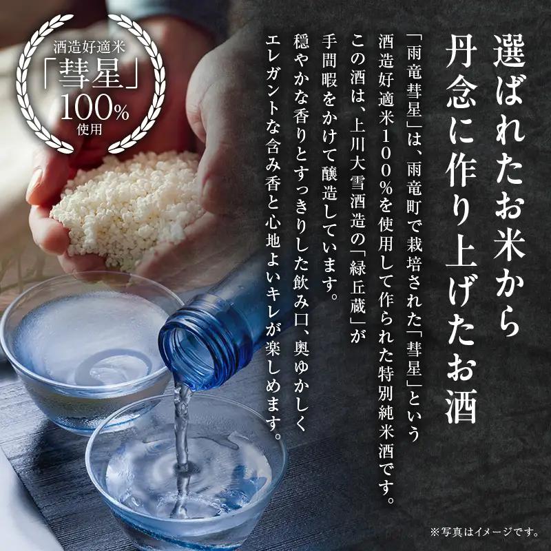  雨竜彗星 720ml × 1本 特別純米酒 日本酒 北海道雨竜町