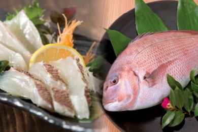 鯛  刺身 まるごと 1匹分 刺身刺身刺身刺身刺身