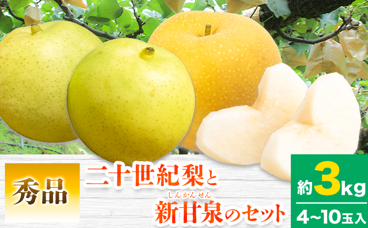 【先行予約】なし 梨 秀品 二十世紀梨と新甘泉梨のセット 約3kg(4〜10玉入) 高間商店《2025年8月下旬-10月上旬頃出荷》鳥取県 八頭町 青果物 フルーツ 梨 和梨