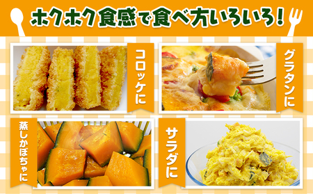 こふき かぼちゃ 南瓜 約10kg 6~8玉 《2026年9月下旬-10月下旬頃出荷》高橋賢三 送料無料 北海道 本別町 北海道 十勝 本別町産 かぼちゃ 栗かぼちゃ パンプキン ホクホク 野菜