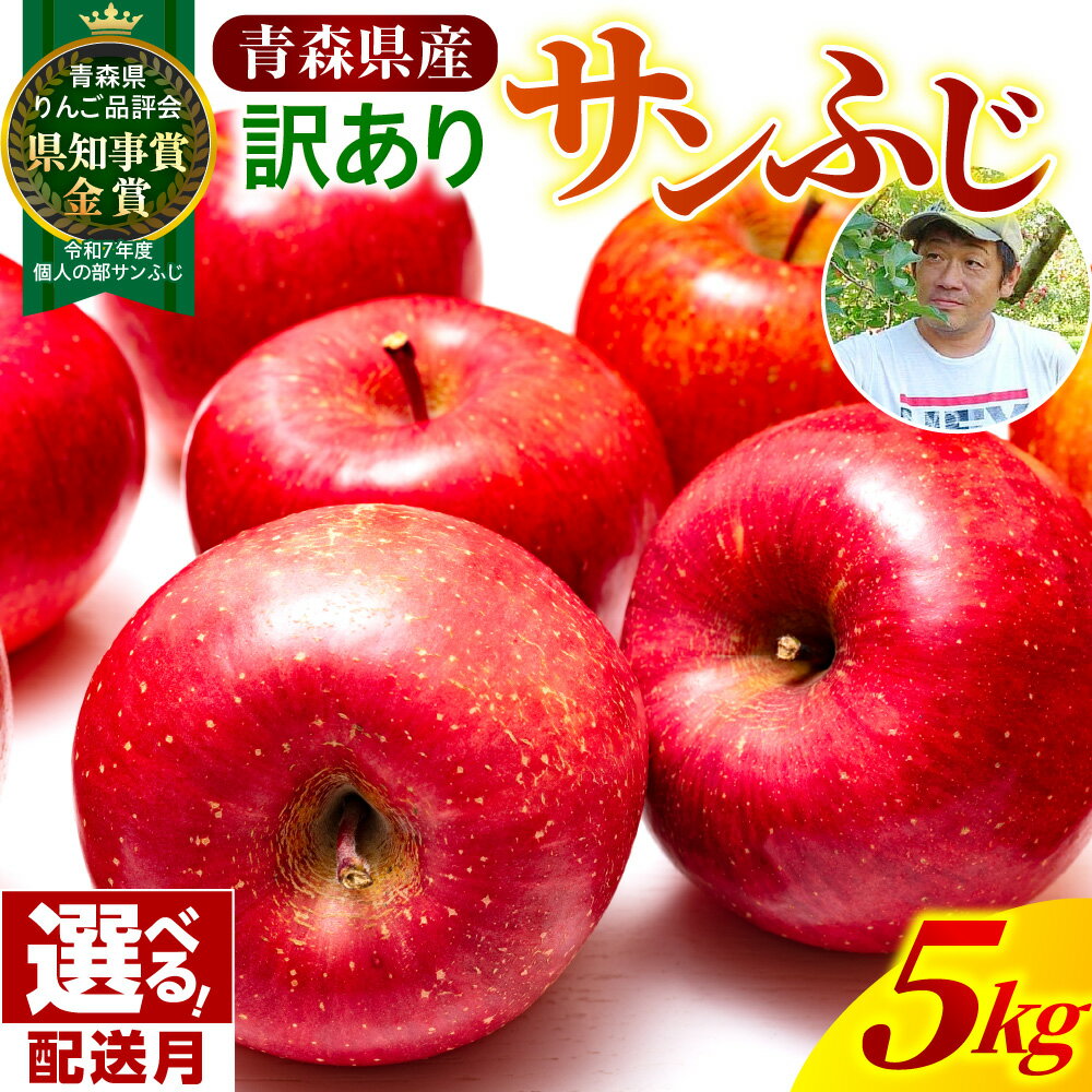 【ふるさと納税】 りんご 訳あり サンふじ 約 5kg ( 配送時期が選べる 12月～2月 ) / 青森産 りんご フルーツ 果物 不揃い 規格外 家庭用 林檎 アップル 果物 くだもの 青森 五所川原市 リンゴ さんふじ サンフジ 青森りんご 12月 1月 2月 14,000 赤いりんご