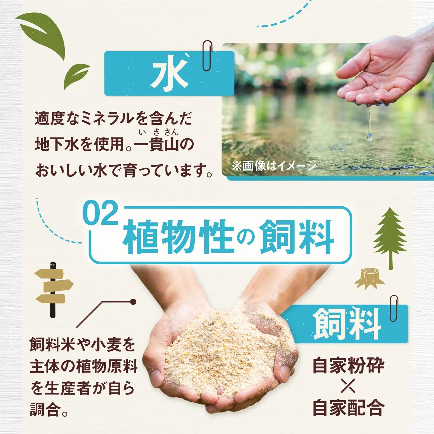 一貴山豚 ロースとんかつ・トンテキ用 計480g(120g×4枚) 糸島市 / いきさん牧場 豚肉 冷凍 [AGB030]