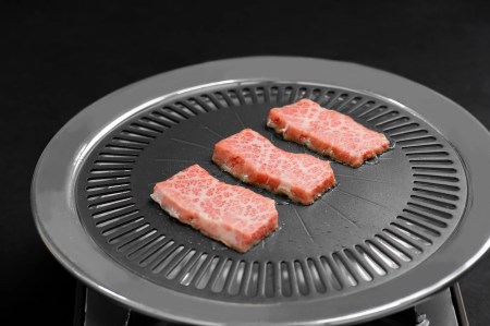 【飛騨牛 メス牛】 最高A5等級 カルビ 焼肉用 500g