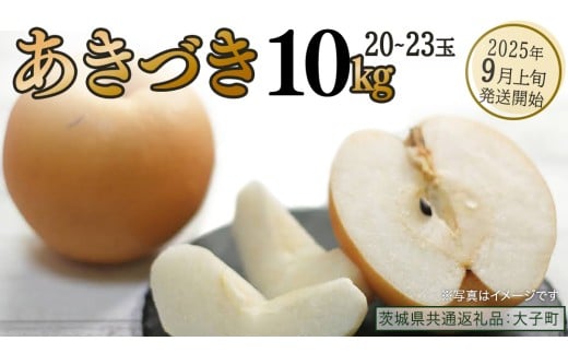 あきづき 約10kg (20～23個)【2025年9月上旬発送開始】(茨城県共通返礼品：大子町) 秋月 梨 なし 果物 くだもの フルーツ
