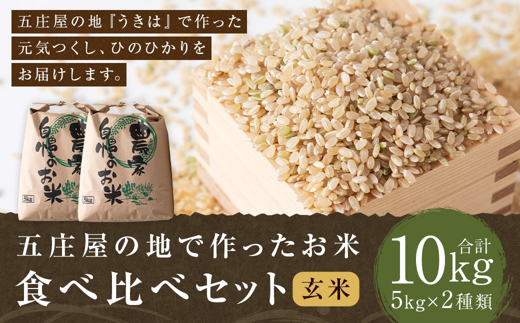 
            【特Aランク米】五庄屋の地で作ったお米 食べ比べセット 玄米 (元気つくし 5kg・ひのひかり 5kg) 計10kg 【2025年10月下旬より順次発送予定】 ヒノヒカリ こめ コメ ごはん ご飯 福岡県うきは市産 九州産
          