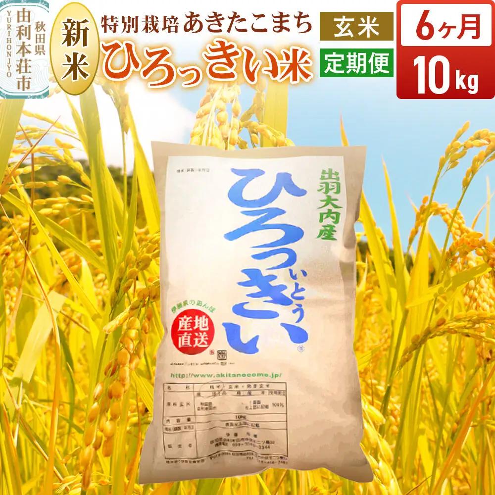 《令和8年産 新米受付》《定期便6ヶ月》【玄米】あきたこまち 10kg 秋田県産 特別栽培米 ひろっきい米