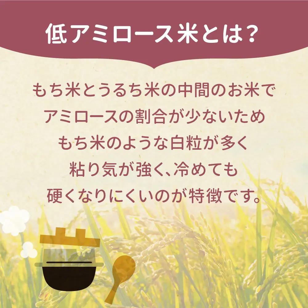 ゆきむすび 宮城県大崎市産 ゆきむすび 10kg | sg001-10kg-r7