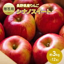 【ふるさと納税】りんご 先行予約 長野 贈答用 リンゴ シナノスイート 約3kg （12玉） 産地直送 ギフト プレゼント 贈答 贈答品 贈り物 フルーツ 果物 デザート 林檎 秋 旬 信州 長野県 長野県産 2024 2024年 予約 令和6年度発送　お届け：2024年10月中旬～11月末頃