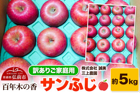 りんご【先行受付】【訳あり】家庭用 百年木の香 三上農園 サンふじ 約5kg