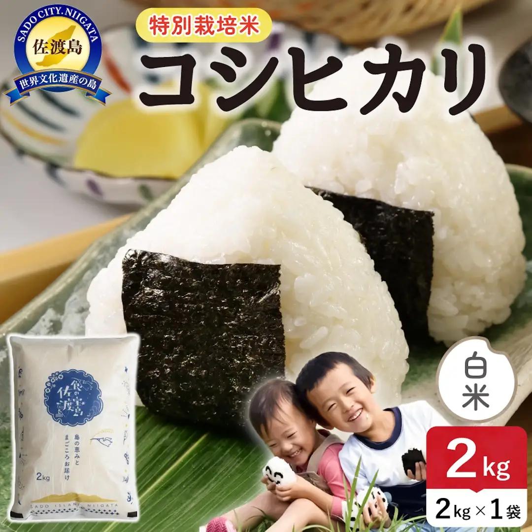令和8年産 佐渡島産コシヒカリ 白米2kg 特別栽培米