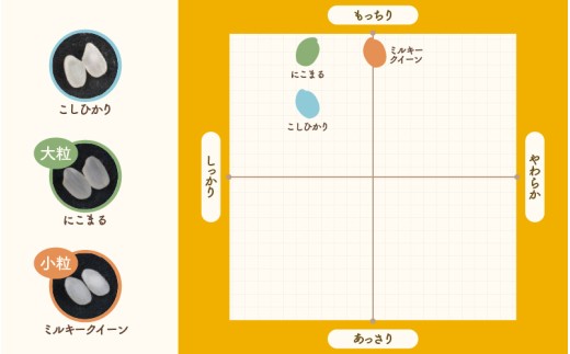 【先行予約】【令和8年産】定期便《3ヶ月連続お届け》精米 にこまる 5kg（計15kg）＜低農薬栽培＞ ／ 高品質 鮮度抜群 福井県 あわら市産 ブランド米 白米 お米 米 ※2026年10月中旬より