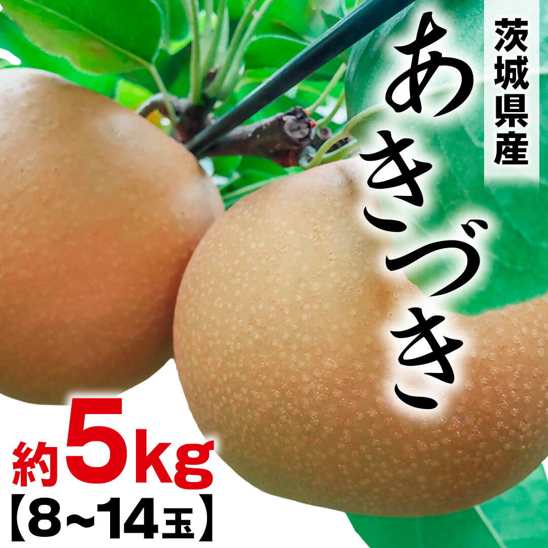 【ふるさと納税】あきづき 約 5kg （8～14玉） 2026年産 先行予約 梨 果物 フルーツ なし ナシ あきずき あきづき梨 くだもの デザート 茨城