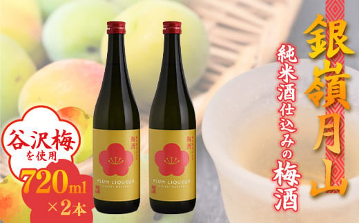 
銀嶺月山 純米酒仕込みの梅酒（720ml×2本セット）【貴重な山形県産ブランド梅「谷沢梅」を使用】　018-E-GS017
