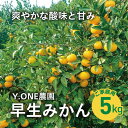 【ふるさと納税】【先行受付】【数量限定】【家庭用】早生みかん（生果）5kg｜柑橘 みかん 温州みかん ミカン 蜜柑 果物 フルーツ 愛媛県産 ※2024年11月上旬～12月上旬頃に順次発送予定