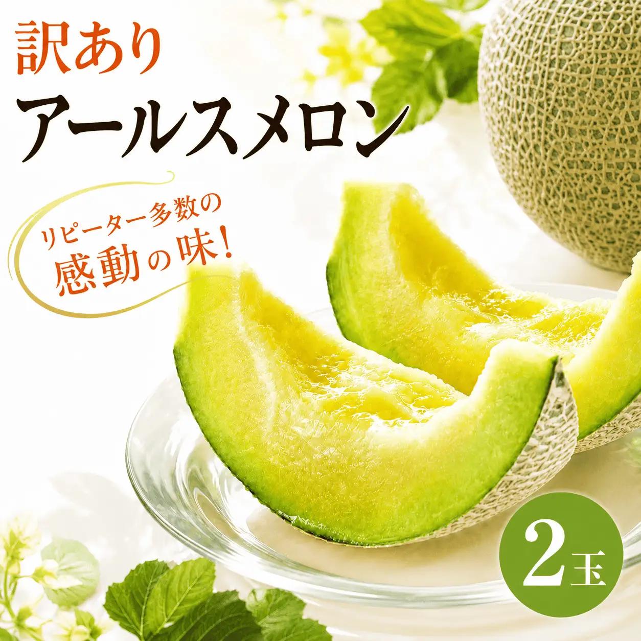 【訳あり】 アールスメロン 2玉 不揃い メロン 家庭用 完熟 果物 フルーツ